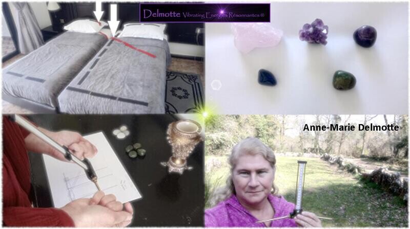 Radiesthésie avec antenne Lecher Géobiologie Niveaux 2 ,3 et 4 inclusif du coaching individuel en ligne - Niveau 1 et bases en option
