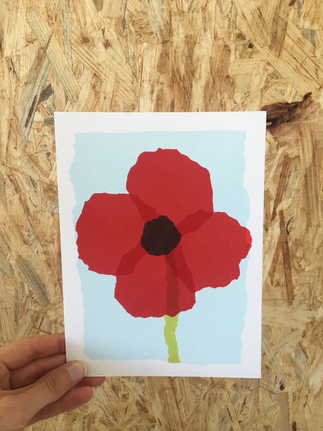 Poppy Flower