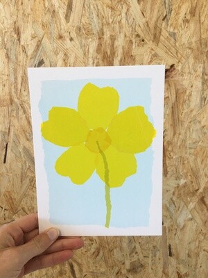 Buttercup flower