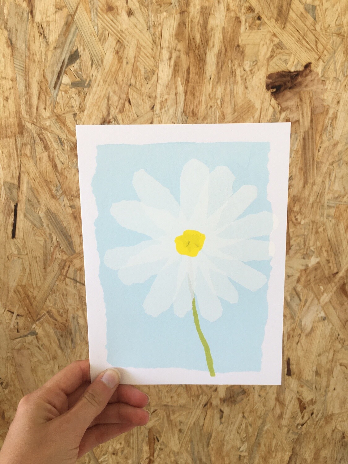 Daisy Flower