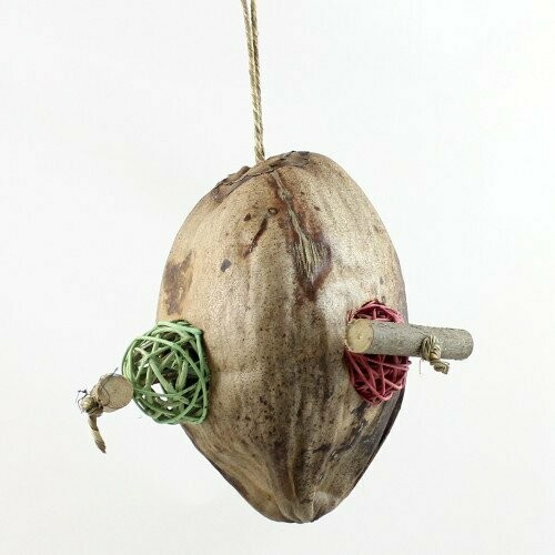 Geheimnisvolle Kokosnuss Weidenball bunt