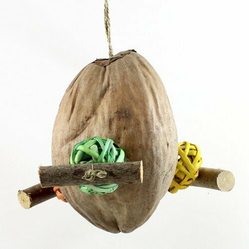 Geheimnisvolle Kokosnuss Bambus bunt Geheimnisvolle Kokosnuss Bambus bunt