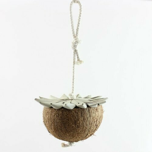 Kokosbecher mit Palmblattstern