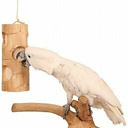 Ole Senior Bird Kabob