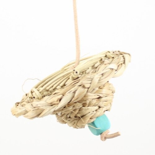 Parrot hat mit Spinnennetz