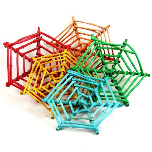 Spinnennetz bunt