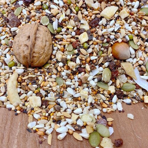 Graupapagei Frucht & Nuss