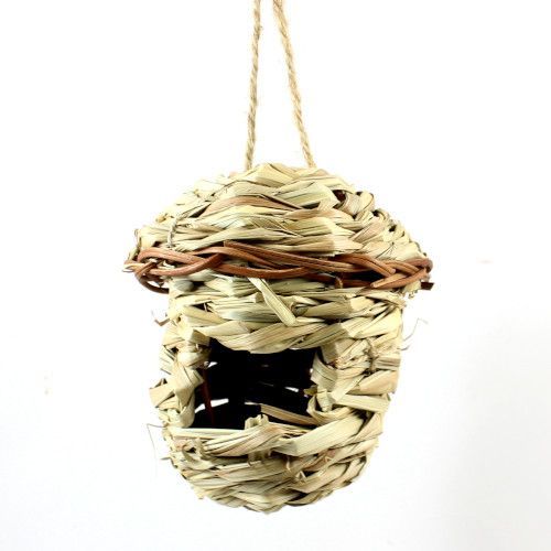 Gras-Weide-Nest