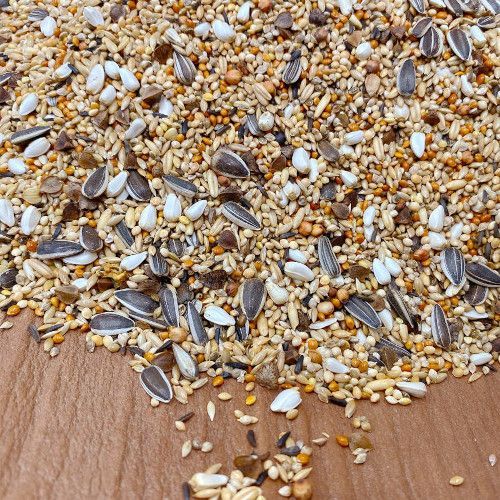 Sittich Basismischung 1000 g
