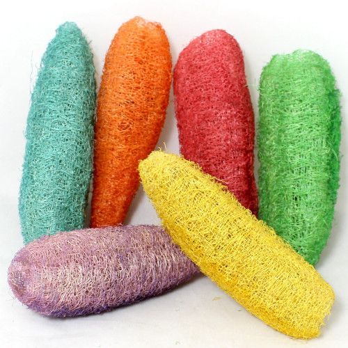 Luffa bunt 10-15 cm