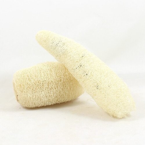 Luffa natur 10 - 15 cm Luffa natur 10 - 15 cm