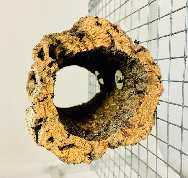 Korkröhre mit Käfigbefestigung Korkröhre mit Käfigbefestigung