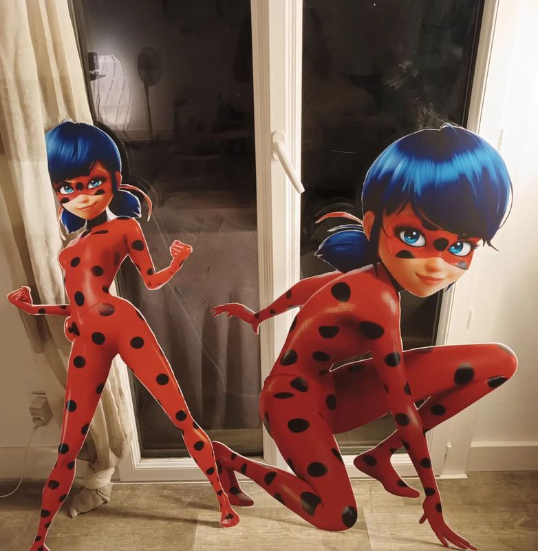 Panneau xl miraculous