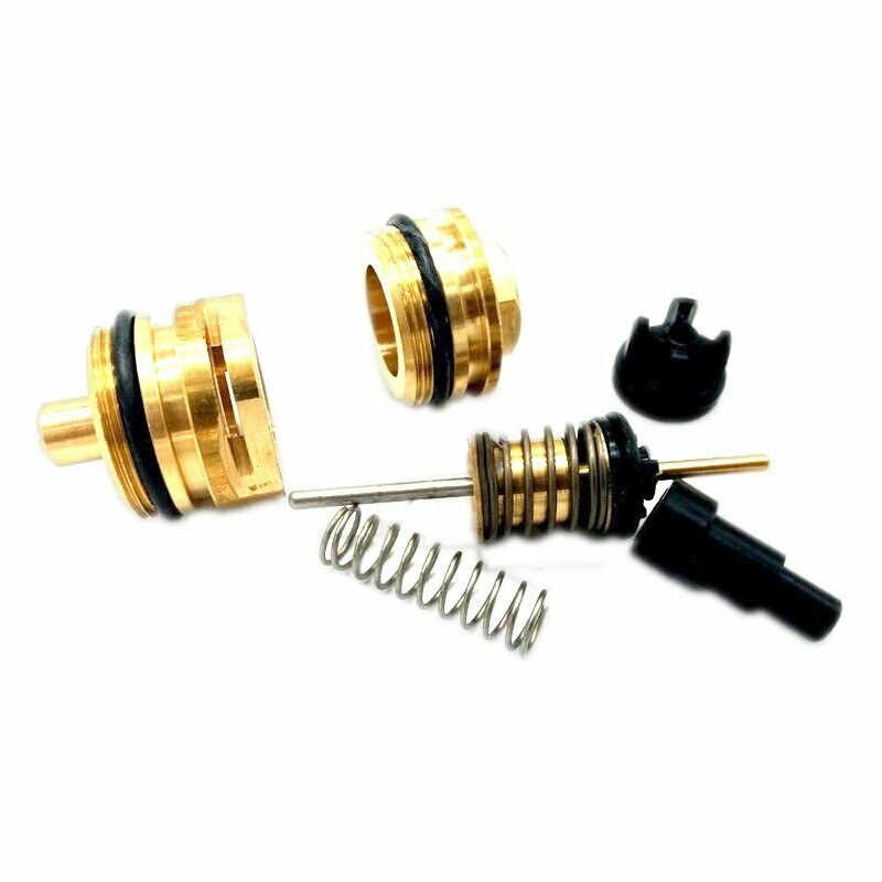 Revisione Tre Vie Saunier Duval Thema Classic S1020800