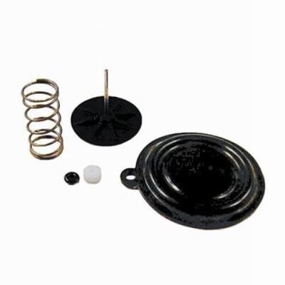 Vaillant Membrana Cpl Scaldabagno Mag 010362
