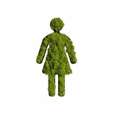 Moos Pictogramm Toilette Frau