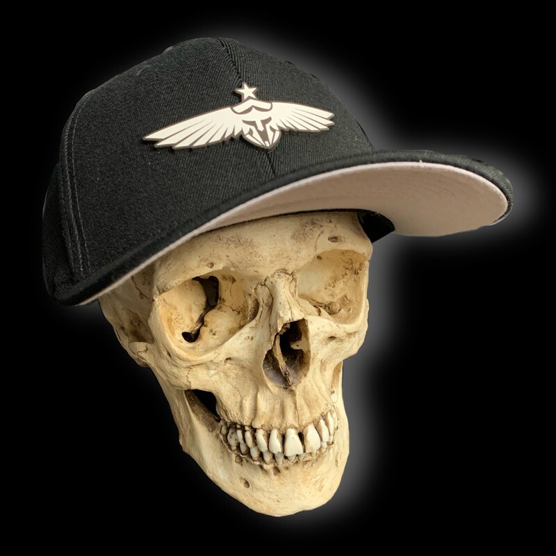 Flex-Fit-Arctic Badge-Black