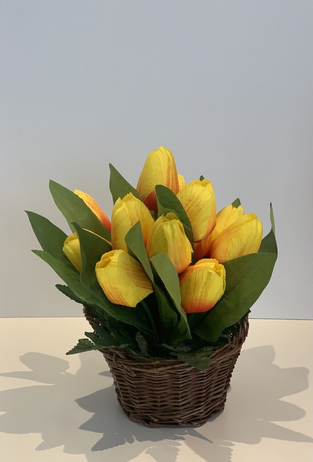 Tulipes jaune