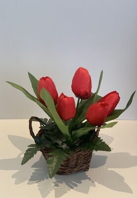 Tulipes rouge