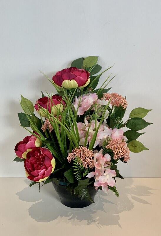 Pivoines fuchsias
