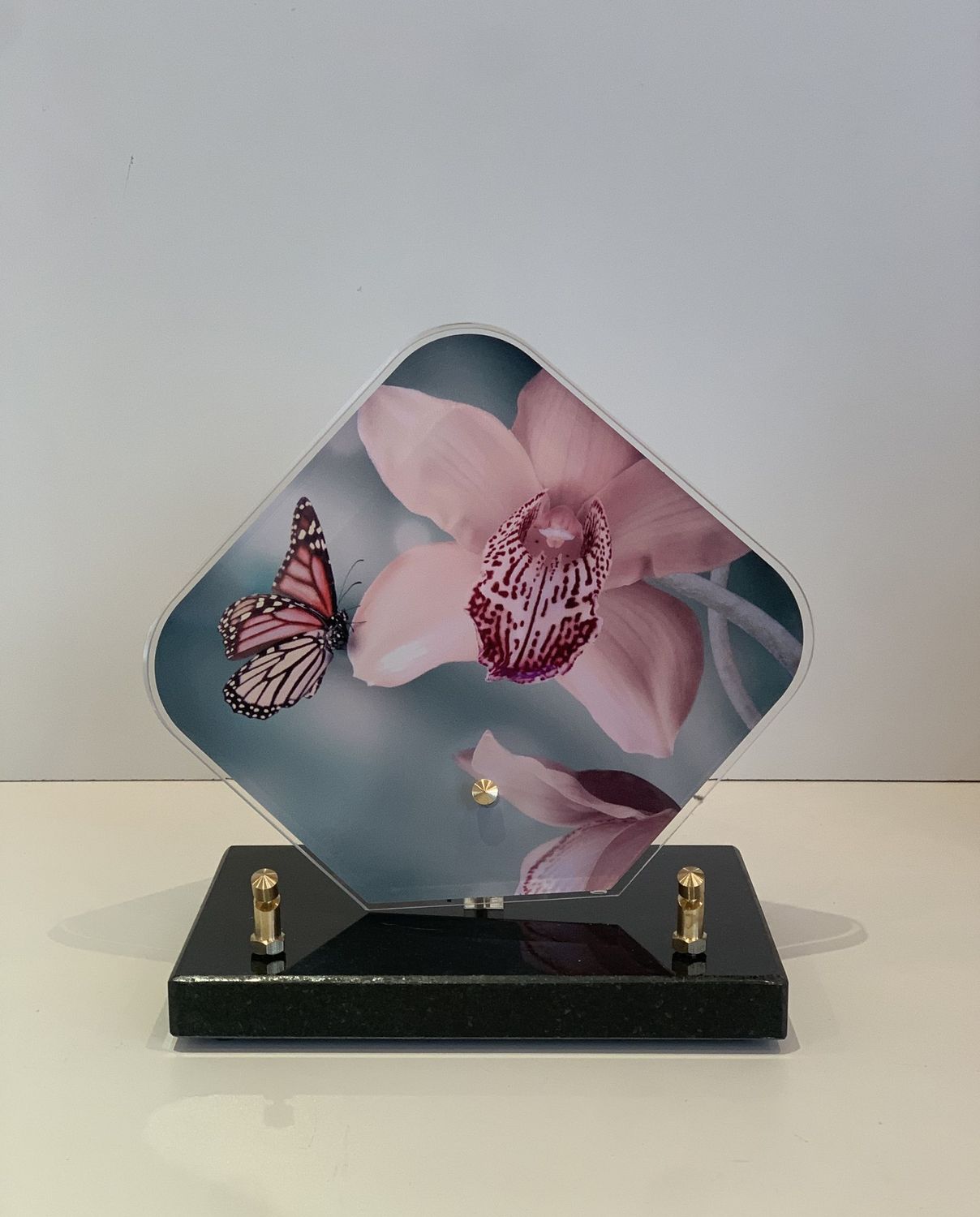 Orchidée losange