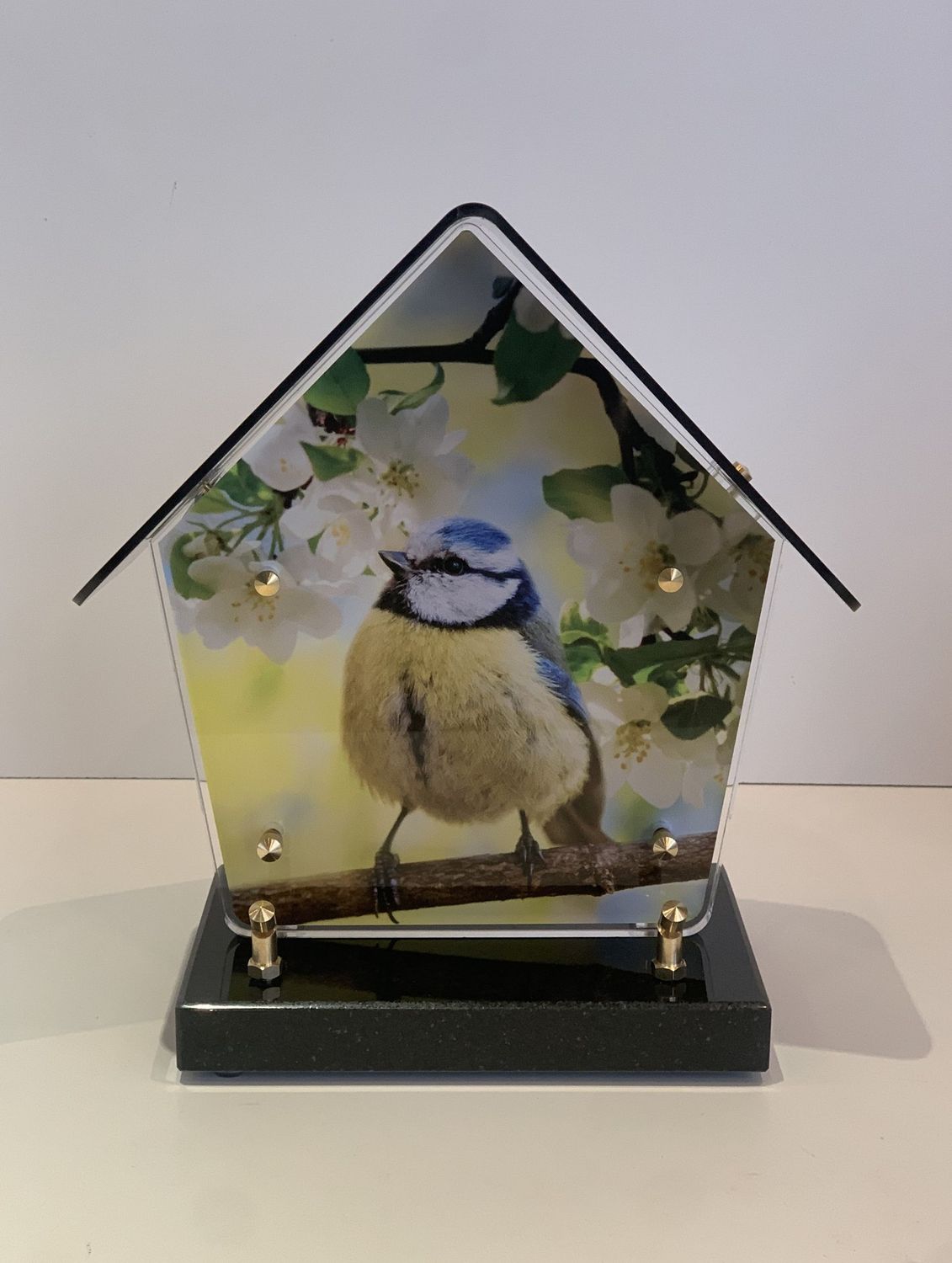 Maison oiseau