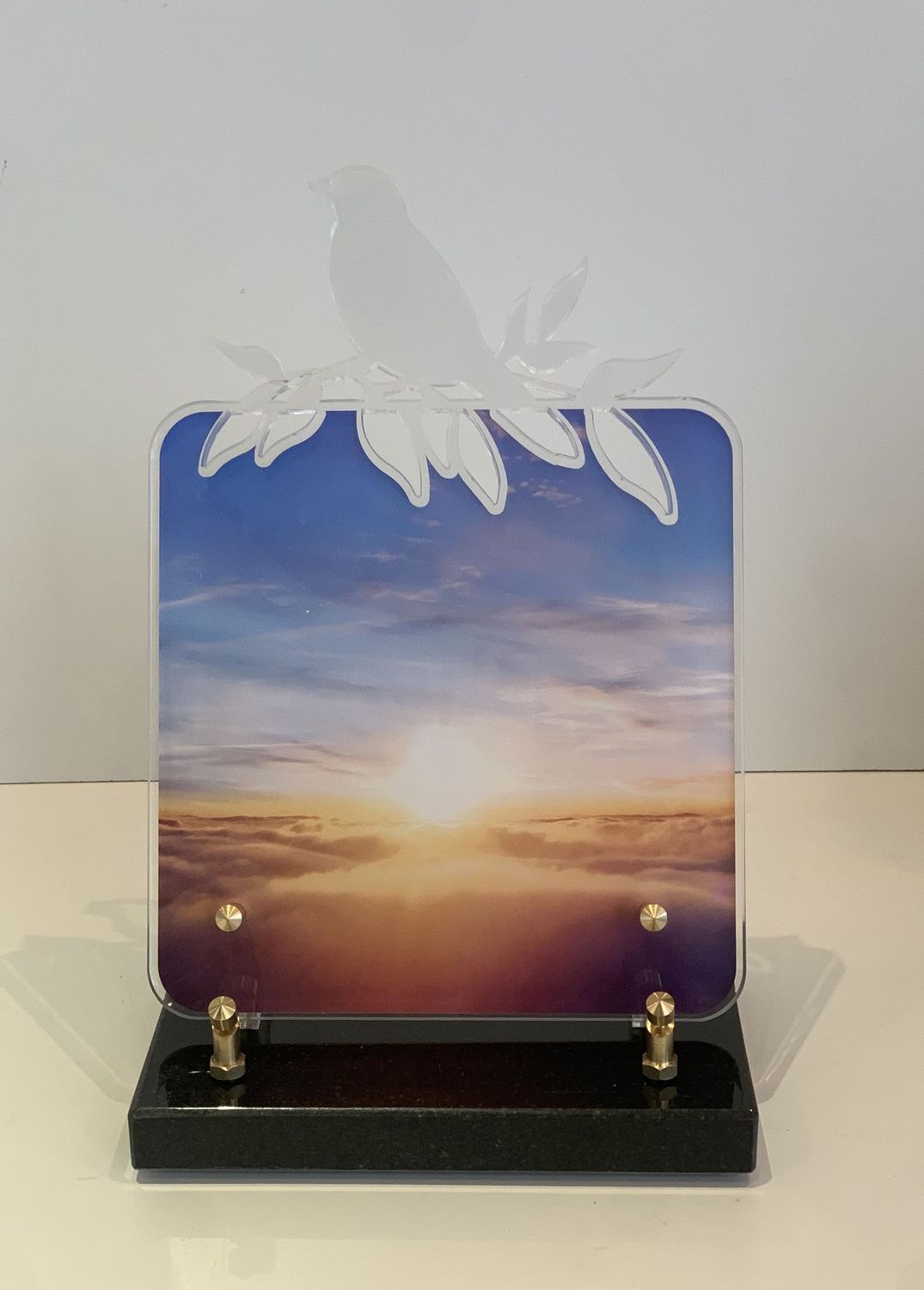 Oiseau transparent