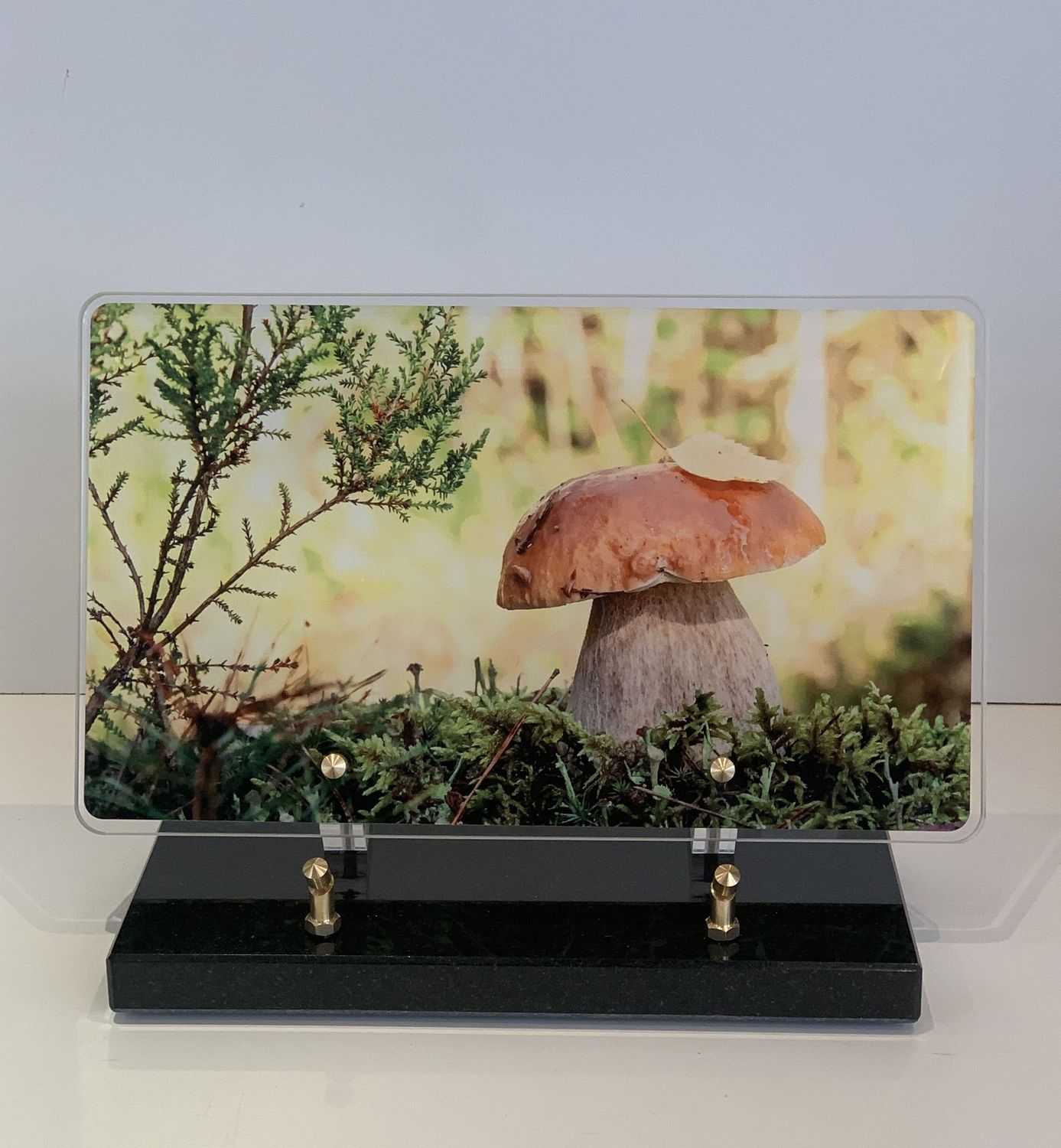 Champignon