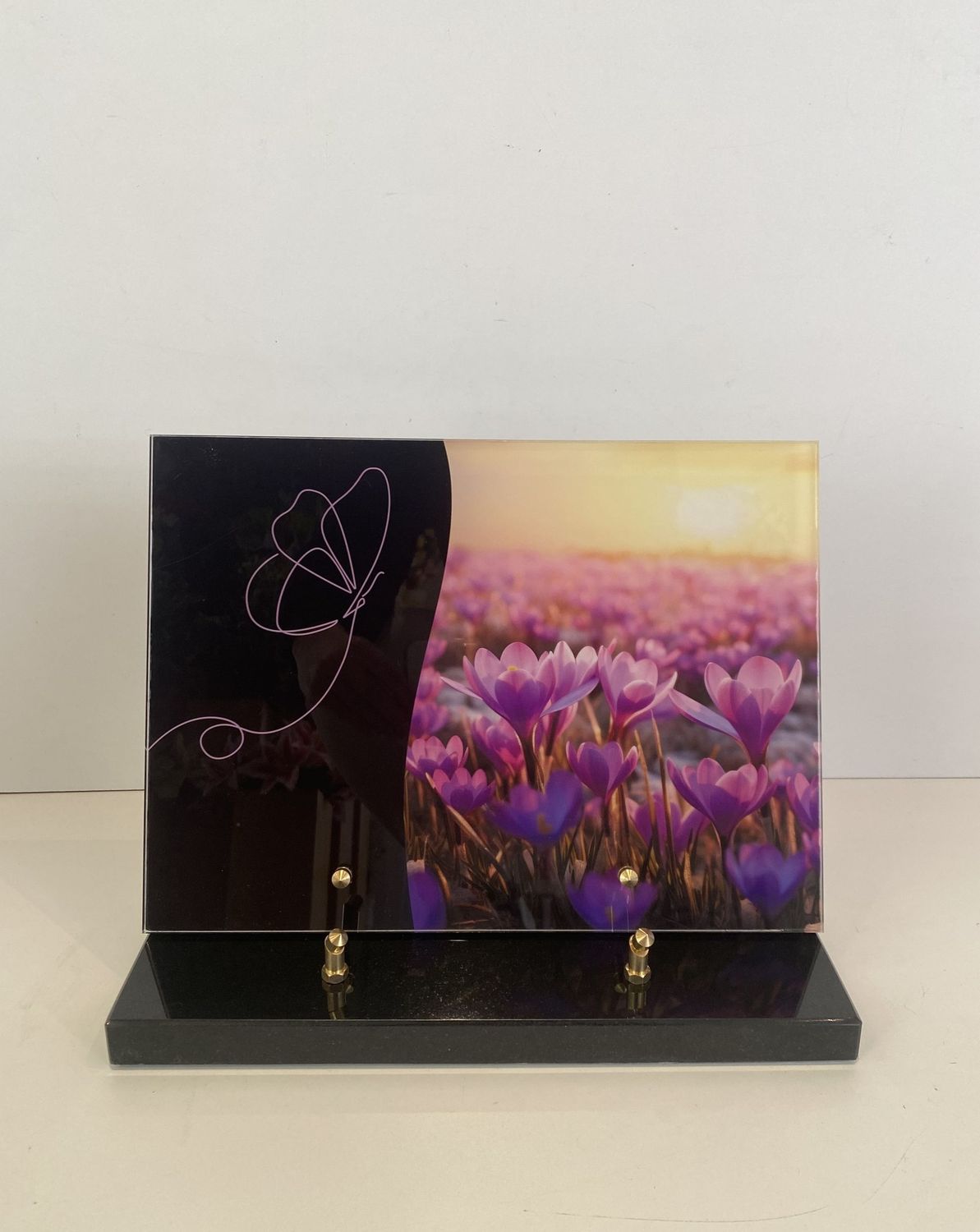 Champ de fleurs violettes