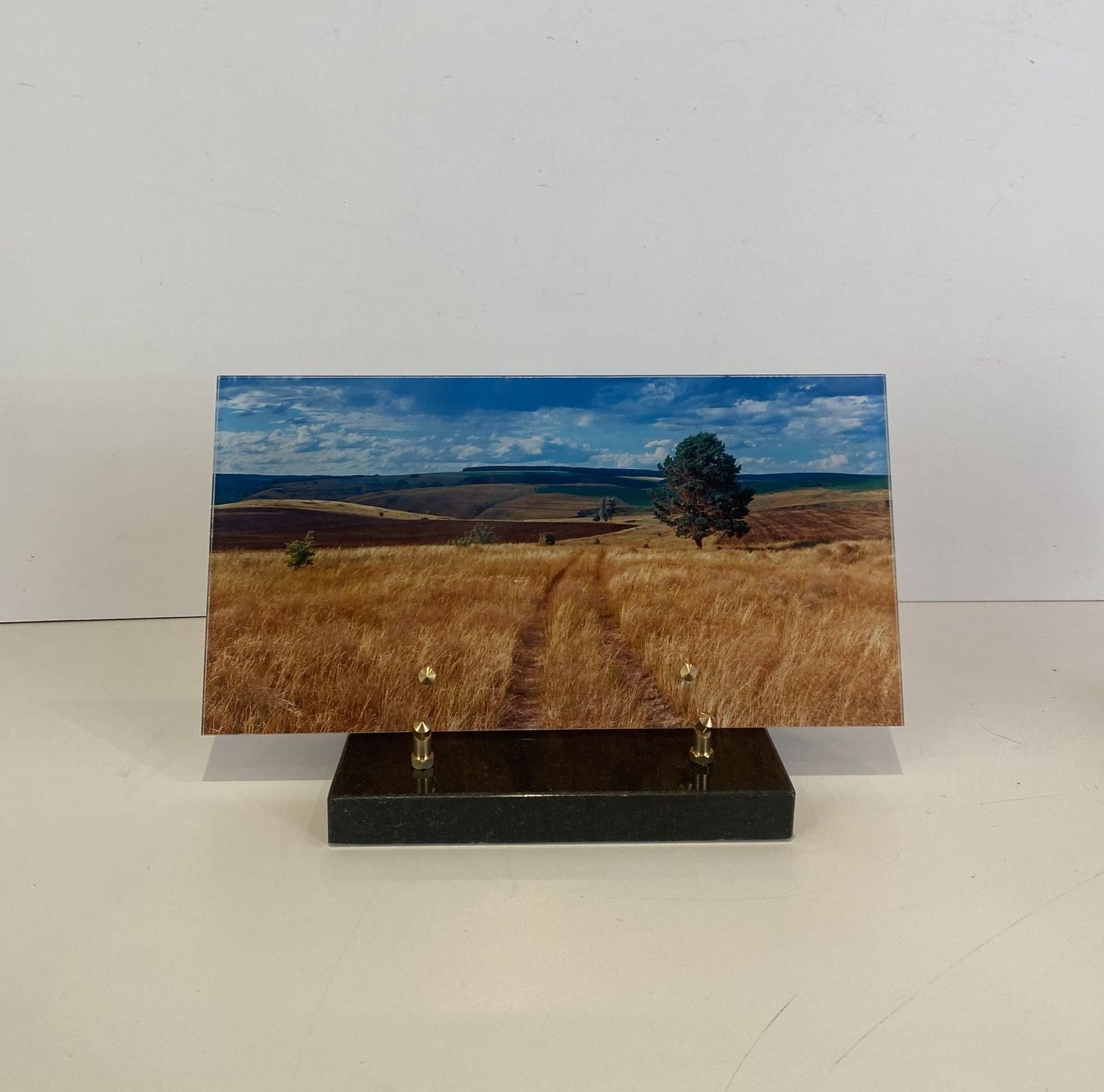 Paysage champ