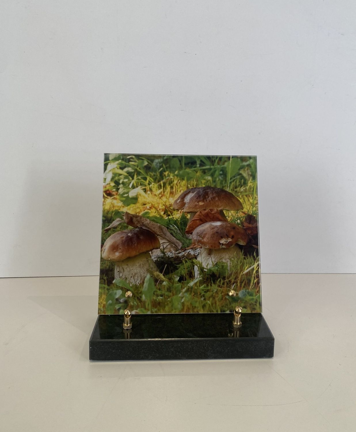 Champignons carré