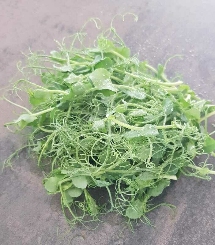 Jeunes pousses de pois vert 50 g