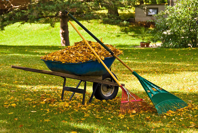 Landscaping / Yard Cleaning