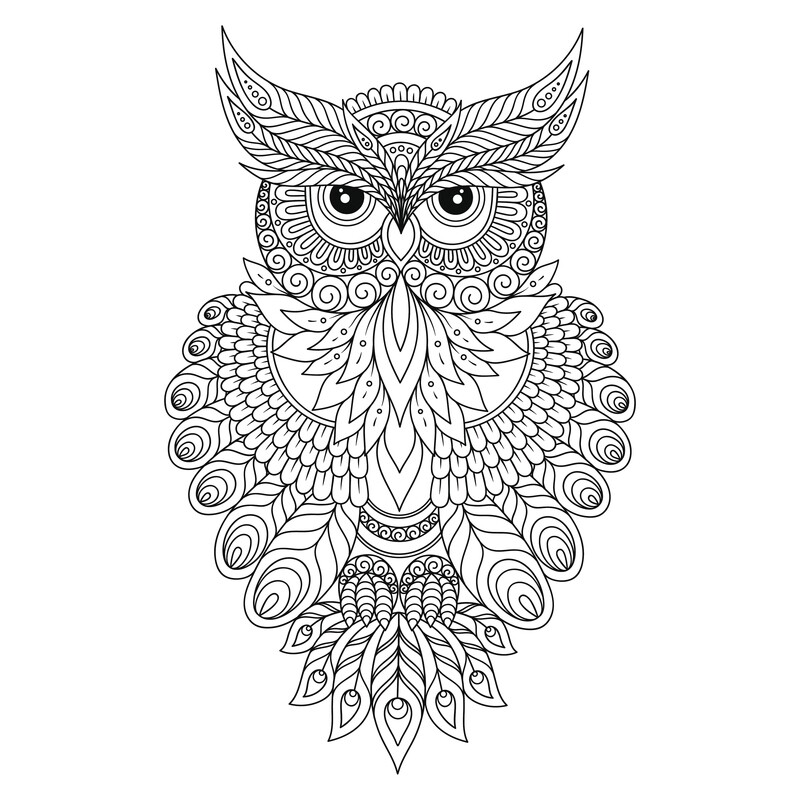 Owl Art