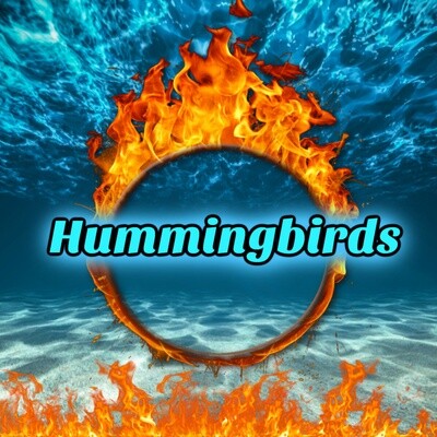 🦜HUMMINGBIRDS🦜