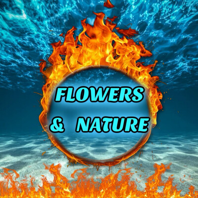 🌺 FLOWERS/NATURE🌻