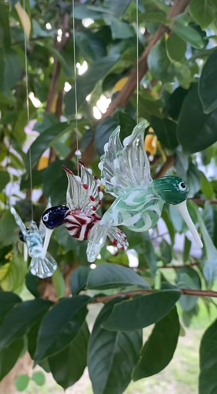 🦜 HUMMINGBIRDS 🦜