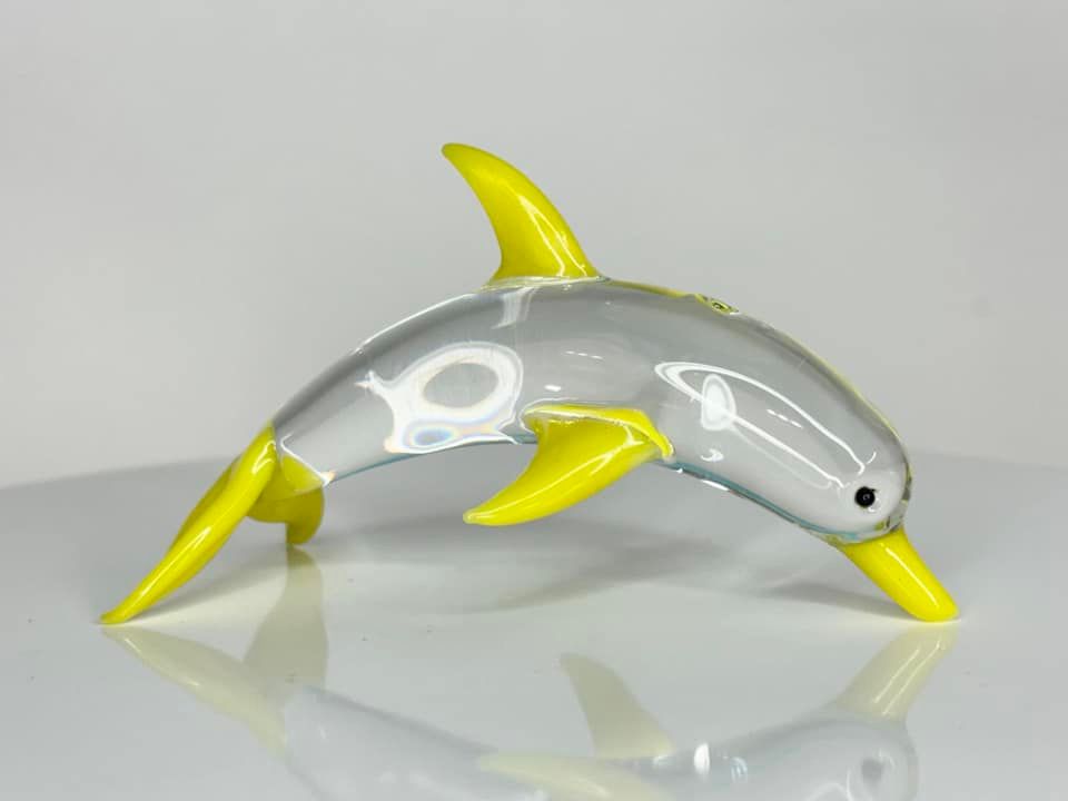 🐬 Sunray Skipper 🐬
