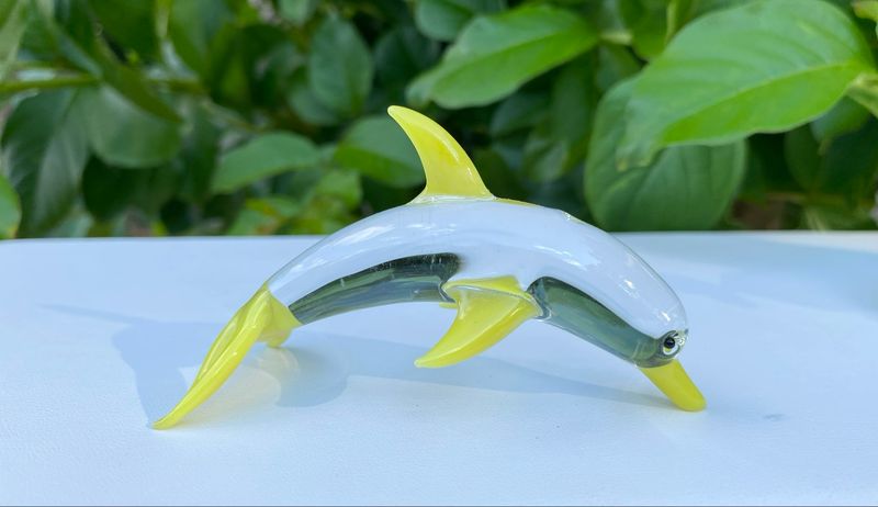 🐬 Sunray Skipper 🐬