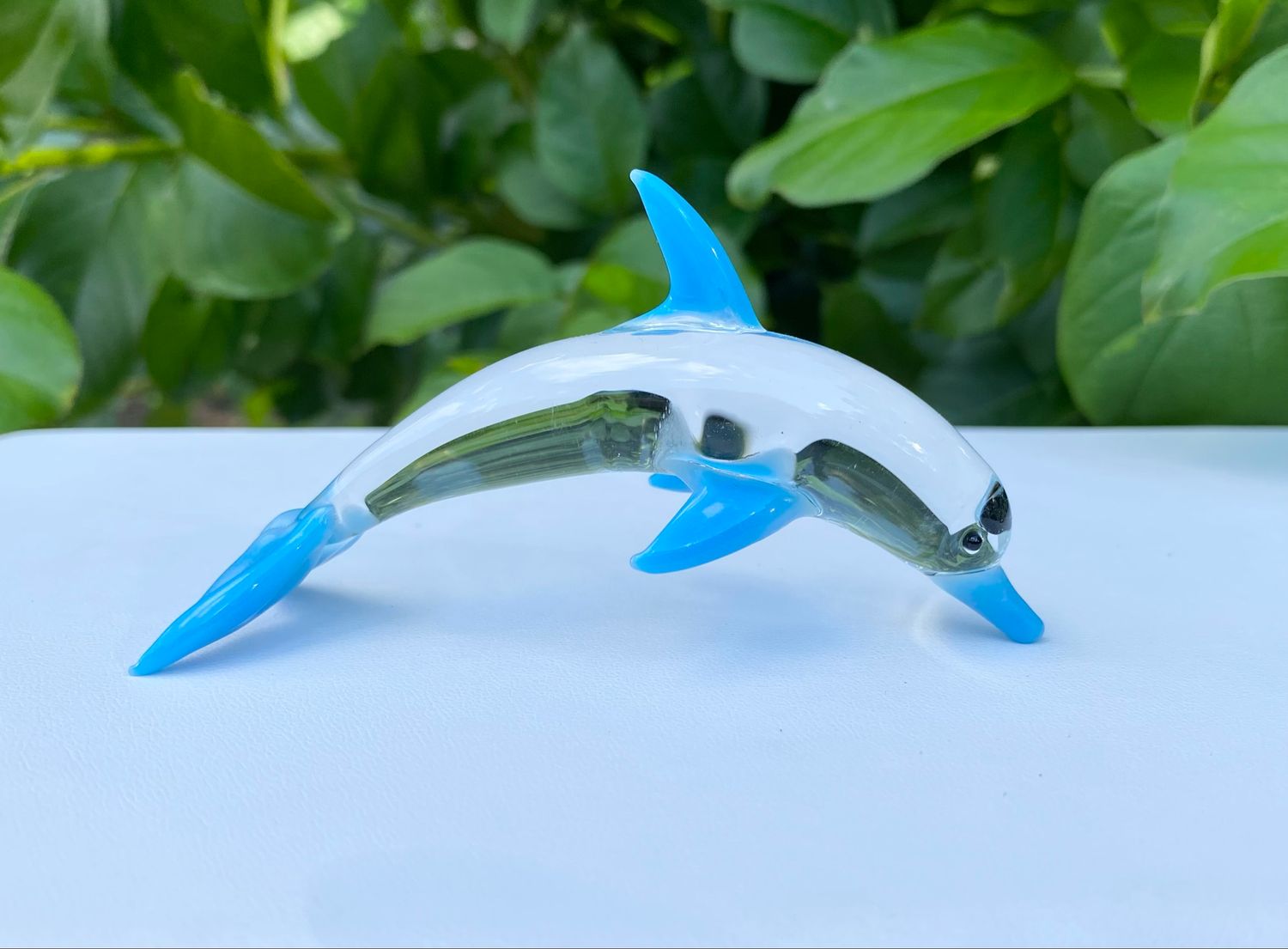 🐬 Ocean Serenade 🐬