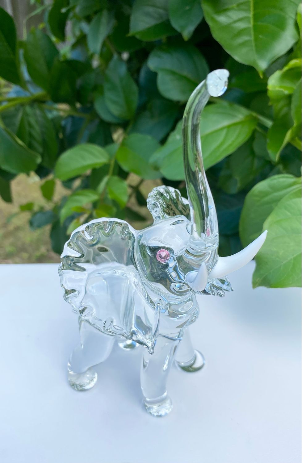 🐘 Rose 🐘
