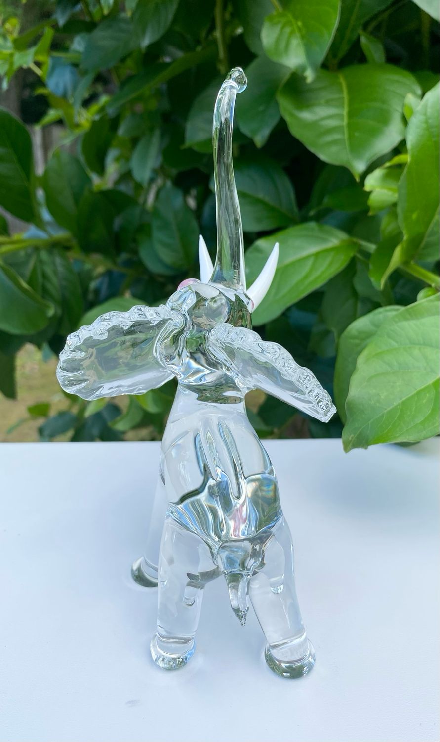 🐘 Rose 🐘