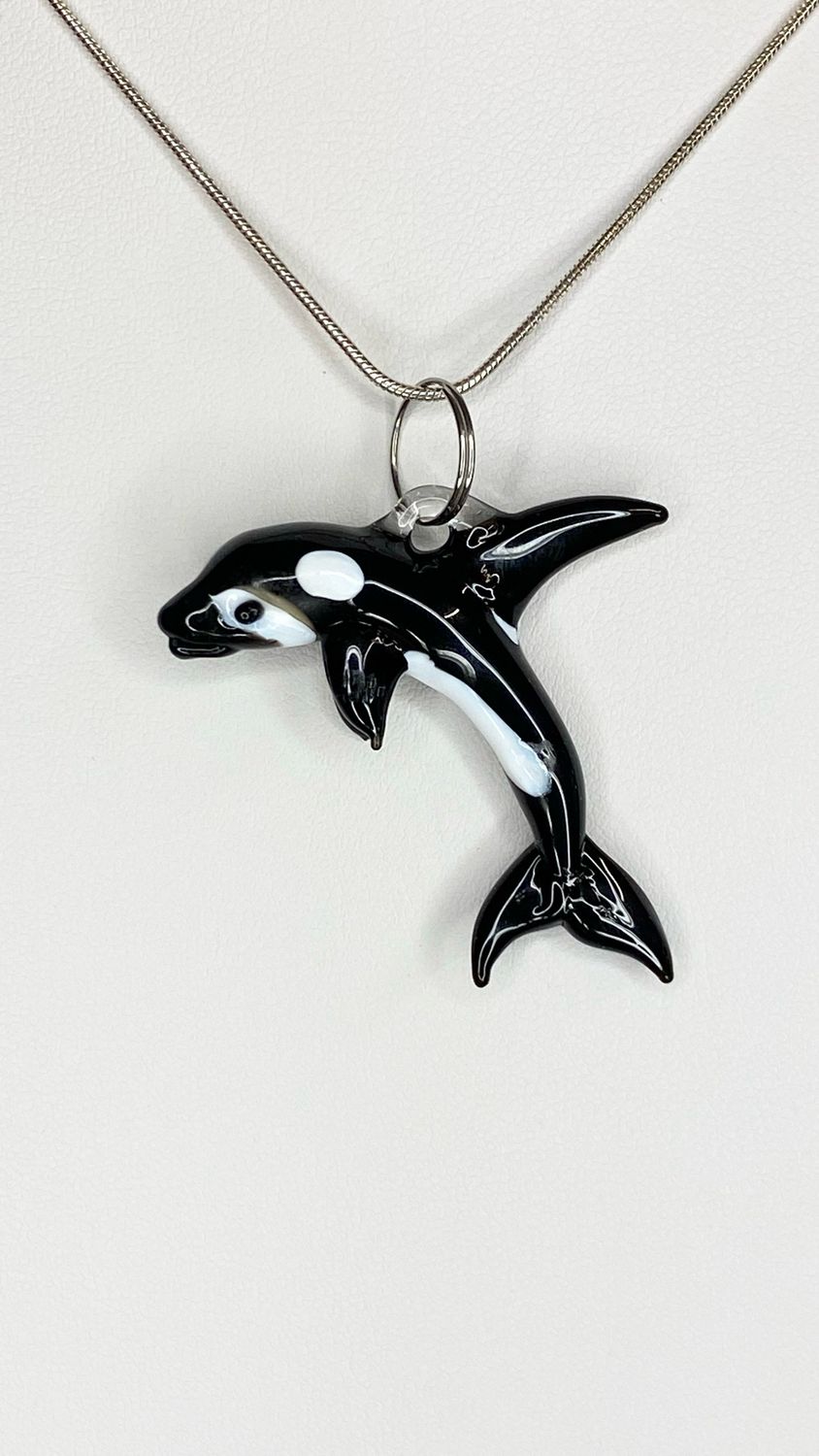 🐳 Echo the Orca 🐳