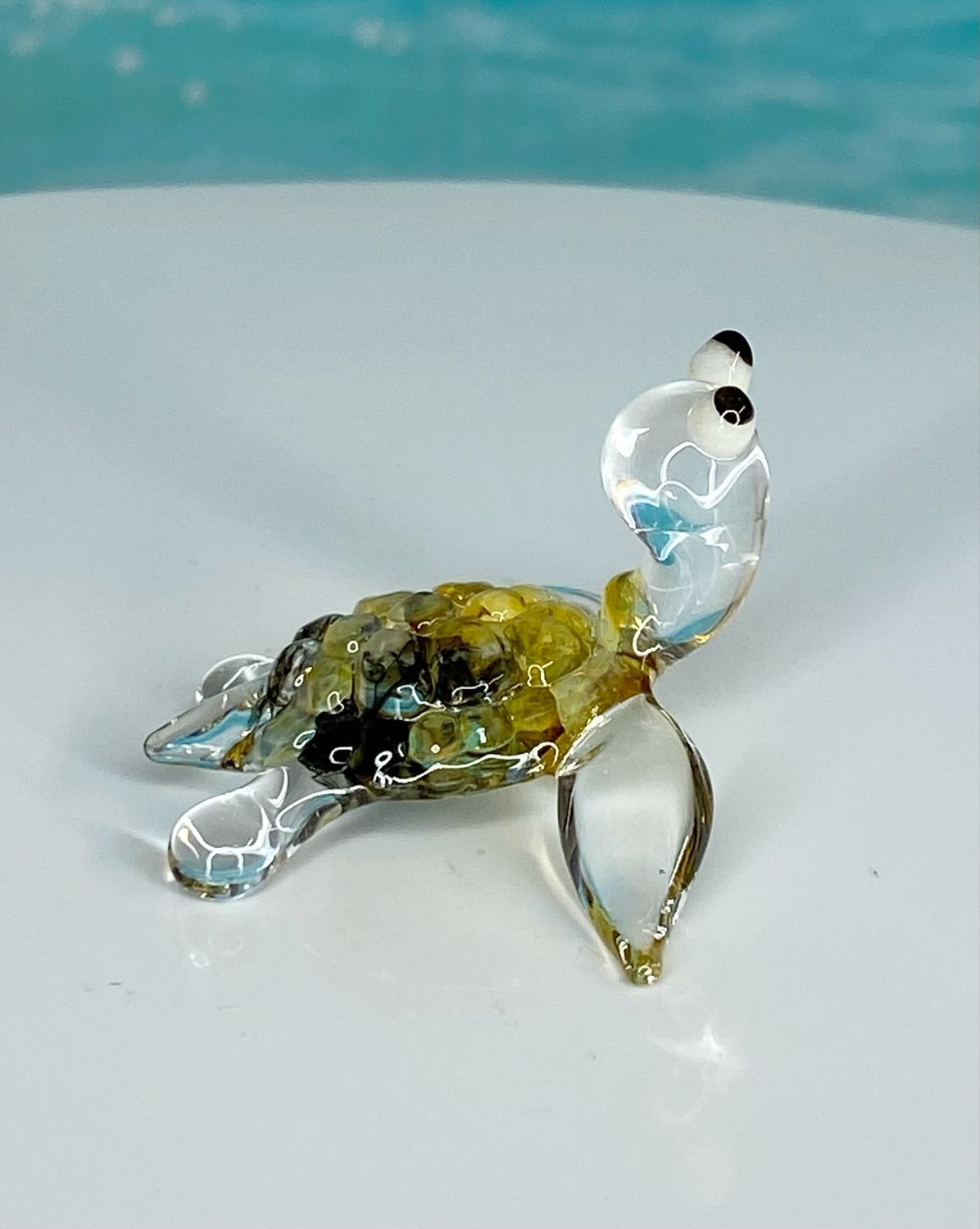 🐢 Dewdrop Dottie 🐢