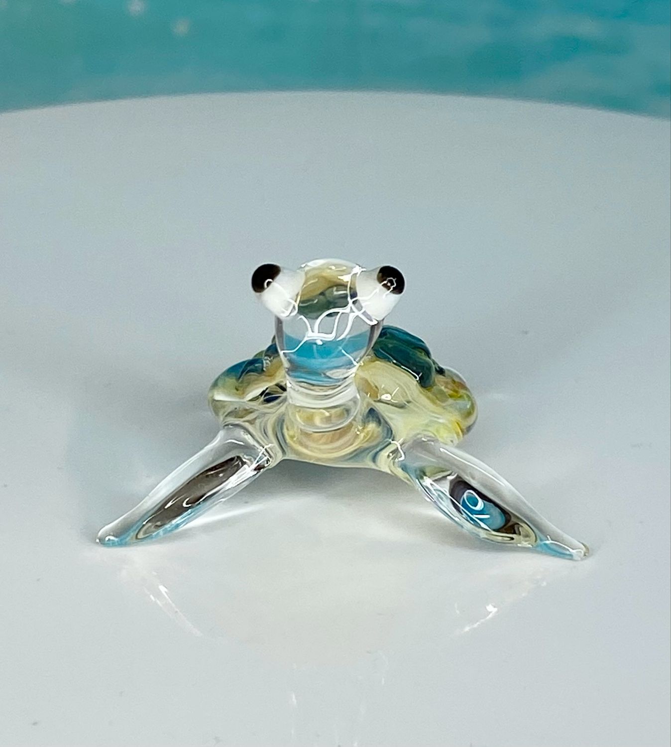🐢 Salty Skye 🐢