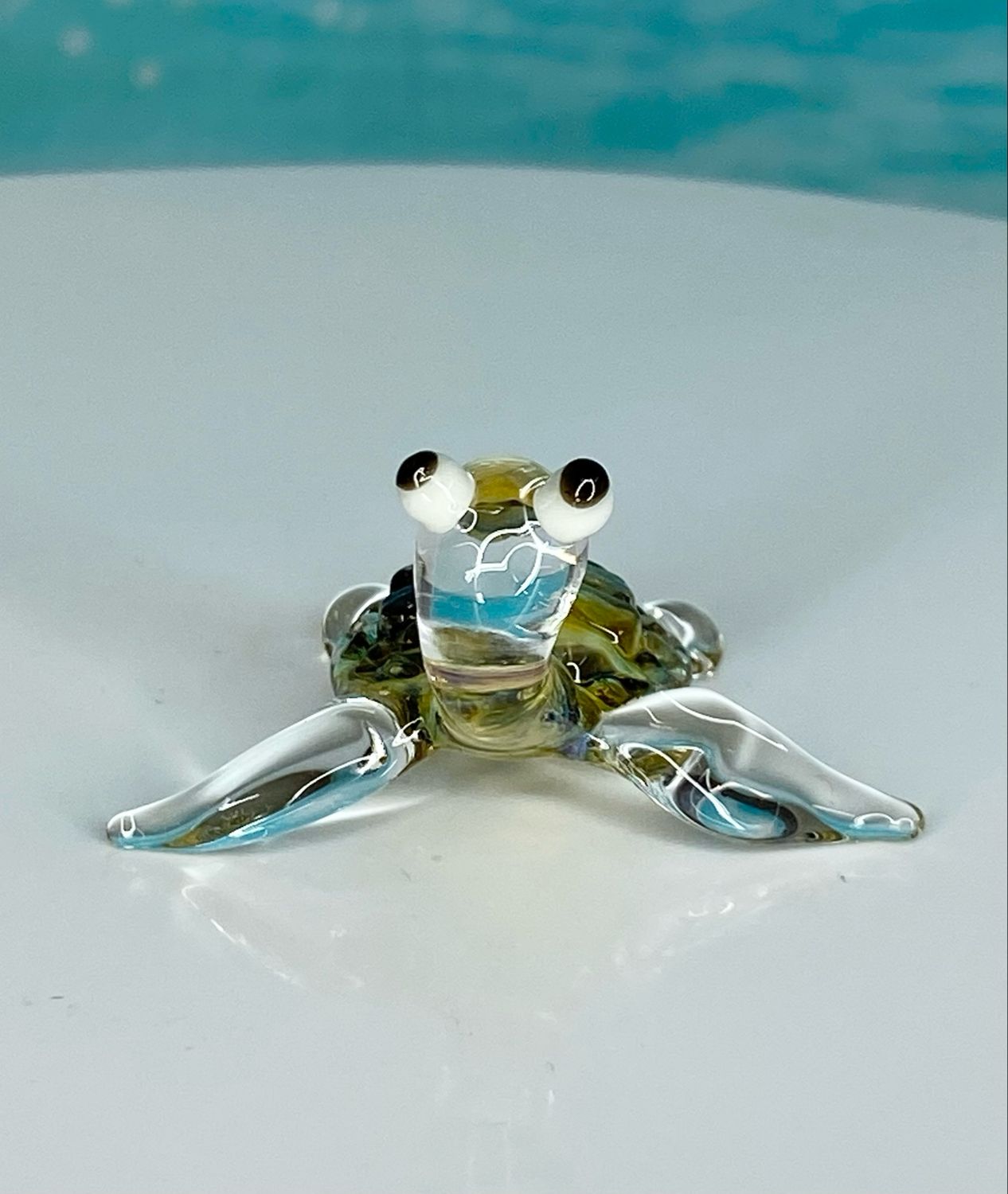 🐢 Dewdrop Dottie 🐢