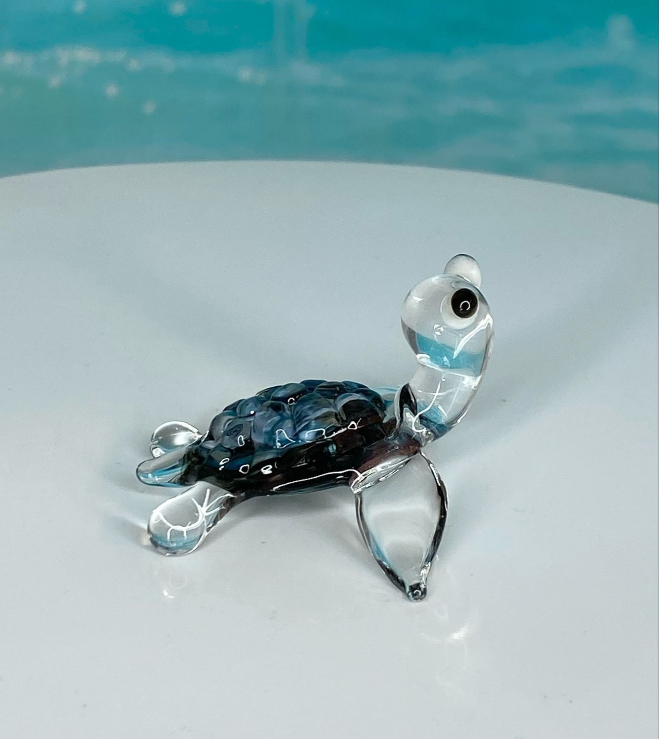 🐢 Breezy Belle 🐢