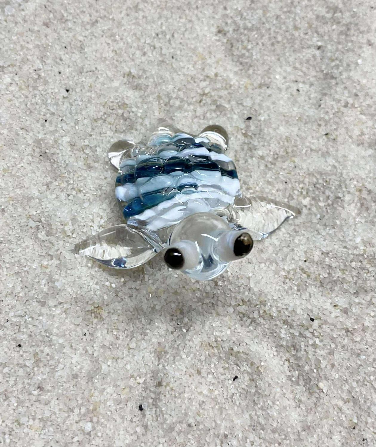🐢 Oceanetta 🐢