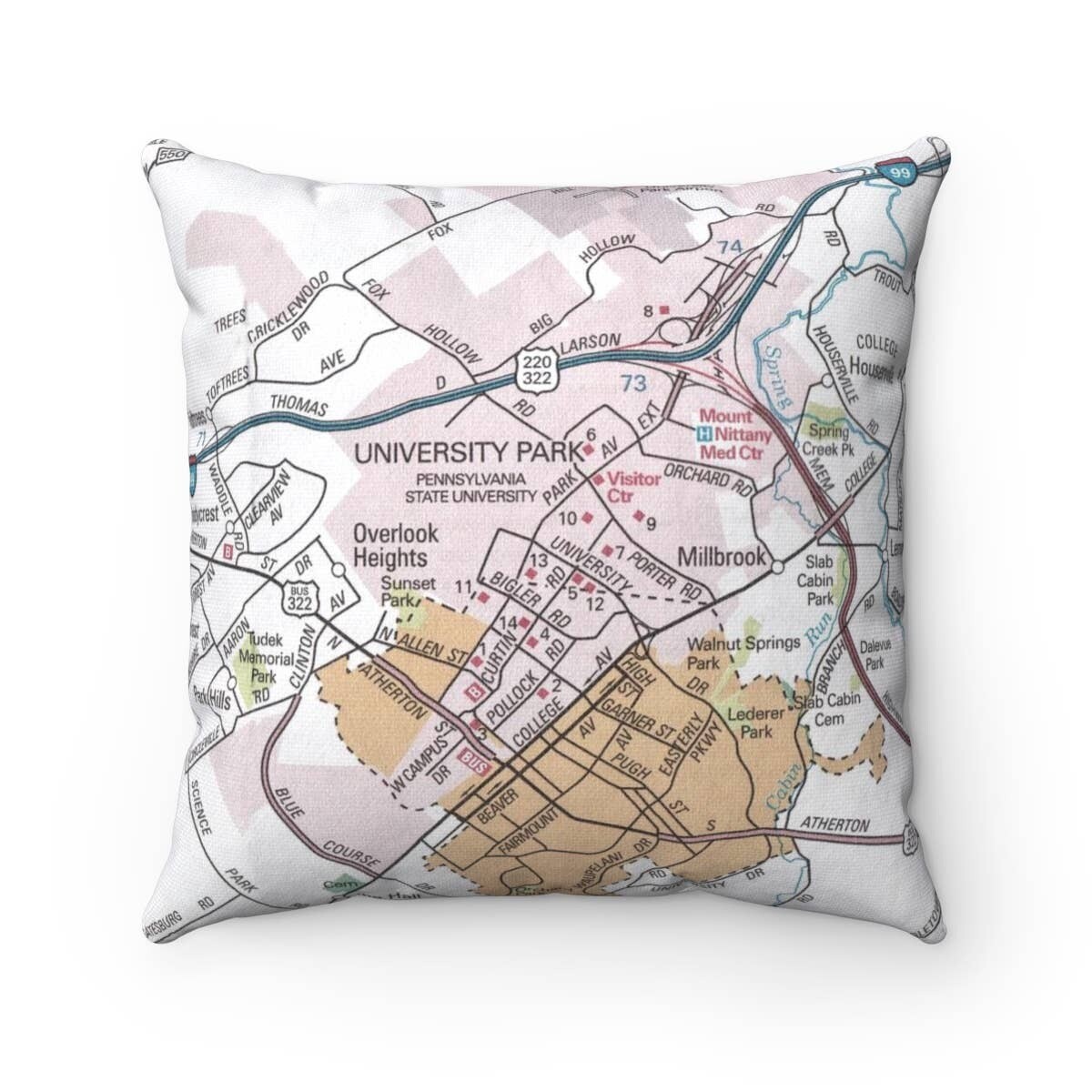 DM Penn State map pillow