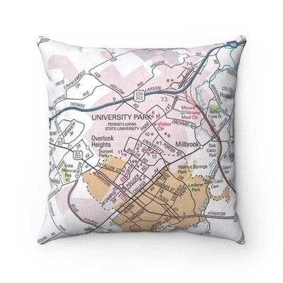 DM Penn State map pillow